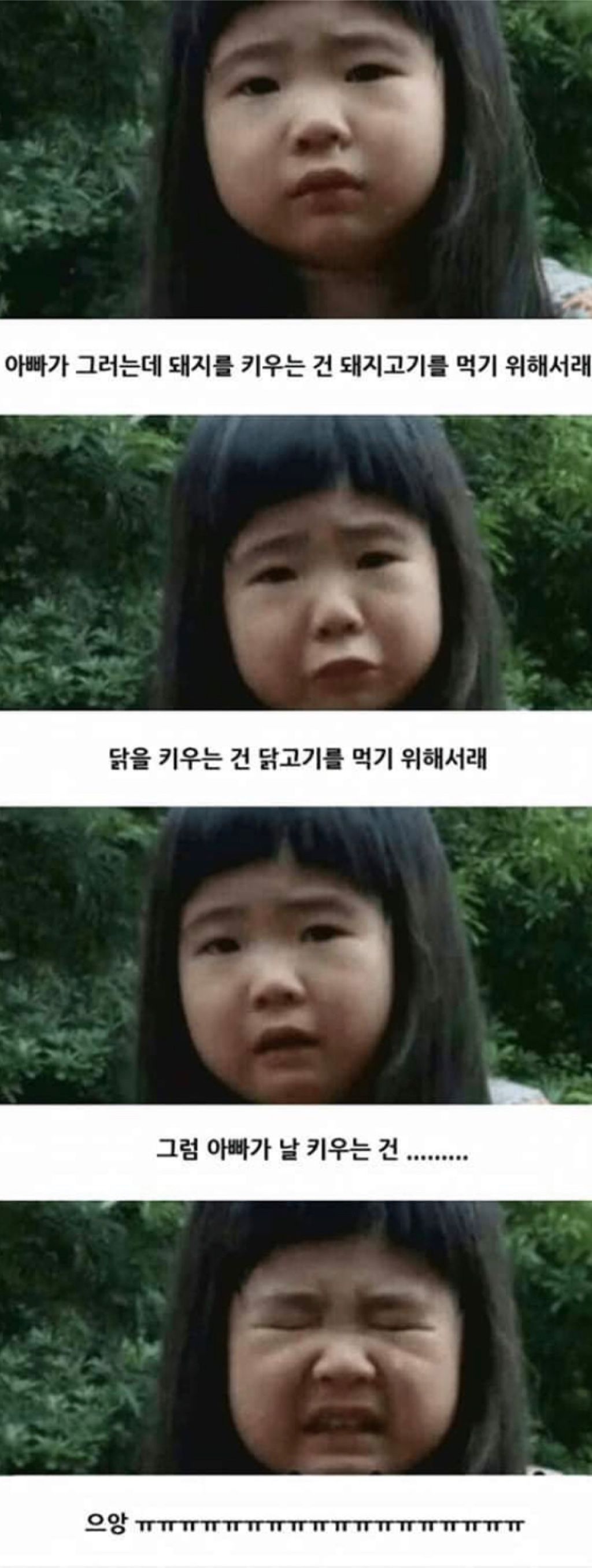 속보>스텔라루멘 XLM 에어드랍 + 리플 에어드랍🔥 | 코박 - 가상자산 투자정보 플랫폼